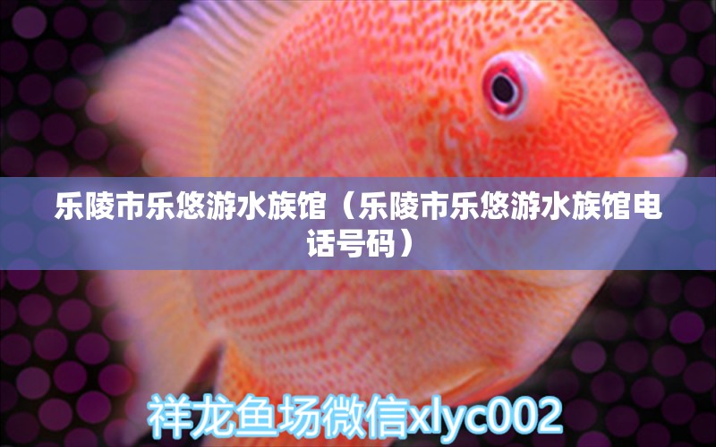 樂陵市樂悠游水族館（樂陵市樂悠游水族館電話號碼）