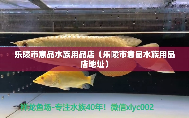 樂陵市意品水族用品店（樂陵市意品水族用品店地址）