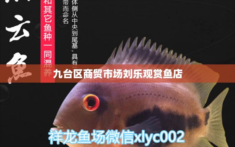 九臺區(qū)商貿市場劉樂觀賞魚店 全國水族館企業(yè)名錄