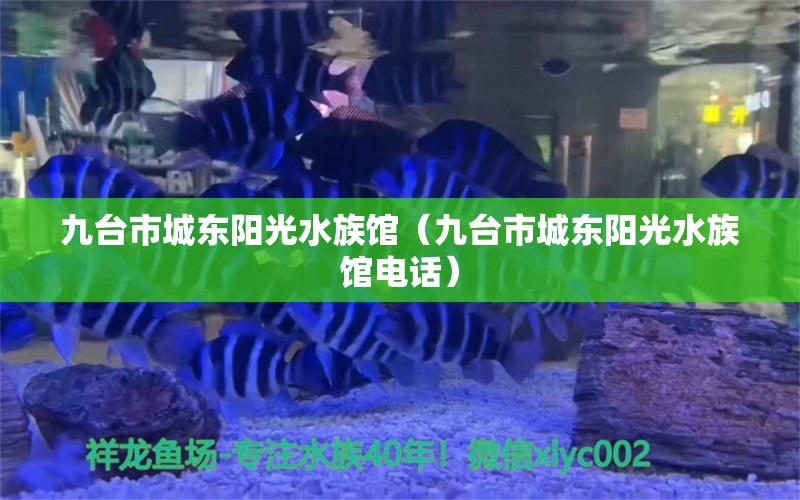 九臺市城東陽光水族館（九臺市城東陽光水族館電話）