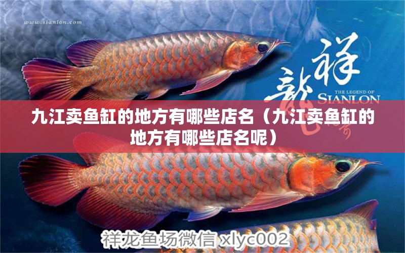 九江賣魚缸的地方有哪些店名（九江賣魚缸的地方有哪些店名呢）