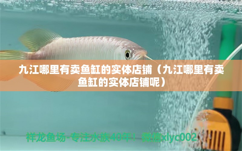 九江哪里有賣魚(yú)缸的實(shí)體店鋪（九江哪里有賣魚(yú)缸的實(shí)體店鋪呢）