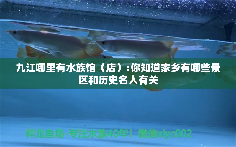 九江哪里有水族館（店）:你知道家鄉(xiāng)有哪些景區(qū)和歷史名人有關(guān)