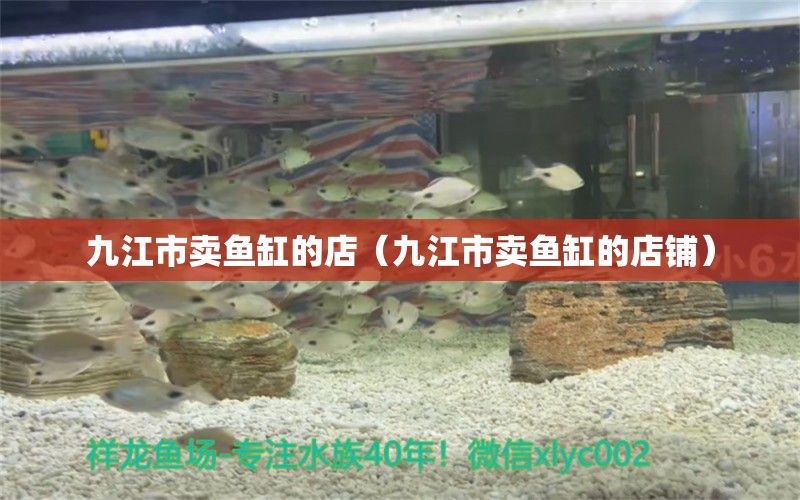 九江市賣魚缸的店（九江市賣魚缸的店鋪）