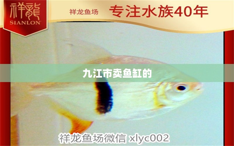 九江市賣魚缸的 其他品牌魚缸