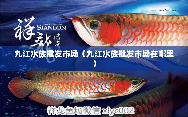 九江水族批發(fā)市場（九江水族批發(fā)市場在哪里）