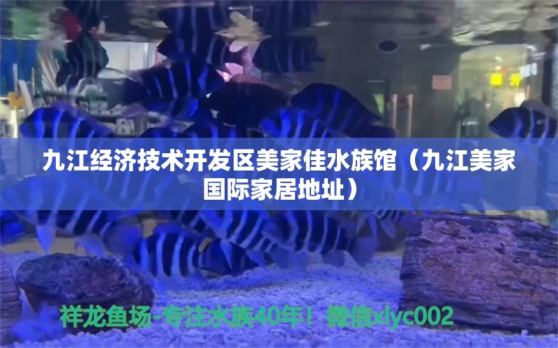 九江經(jīng)濟技術(shù)開發(fā)區(qū)美家佳水族館（九江美家國際家居地址） 全國水族館企業(yè)名錄