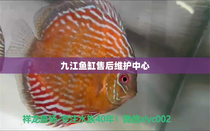 九江魚缸售后維護(hù)中心 其他品牌魚缸