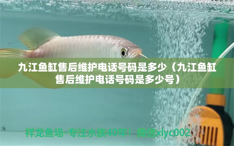 九江魚缸售后維護(hù)電話號碼是多少（九江魚缸售后維護(hù)電話號碼是多少號） 其他品牌魚缸