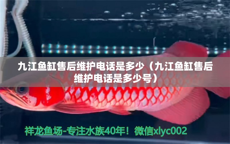 九江魚缸售后維護電話是多少（九江魚缸售后維護電話是多少號） 其他品牌魚缸