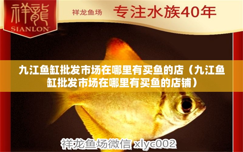 九江魚缸批發(fā)市場在哪里有買魚的店（九江魚缸批發(fā)市場在哪里有買魚的店鋪）