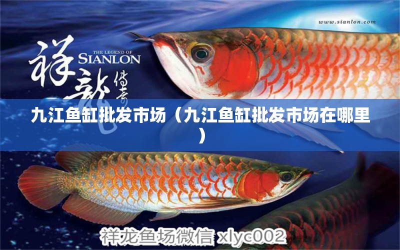 九江魚(yú)缸批發(fā)市場(chǎng)（九江魚(yú)缸批發(fā)市場(chǎng)在哪里）