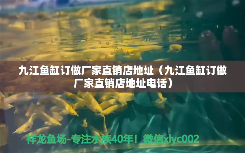 九江魚缸訂做廠家直銷店地址（九江魚缸訂做廠家直銷店地址電話）