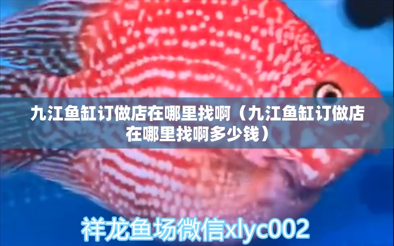 九江魚缸訂做店在哪里找?。ň沤~缸訂做店在哪里找啊多少錢）