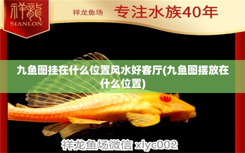 九魚圖掛在什么位置風水好客廳(九魚圖擺放在什么位置) 魚缸風水