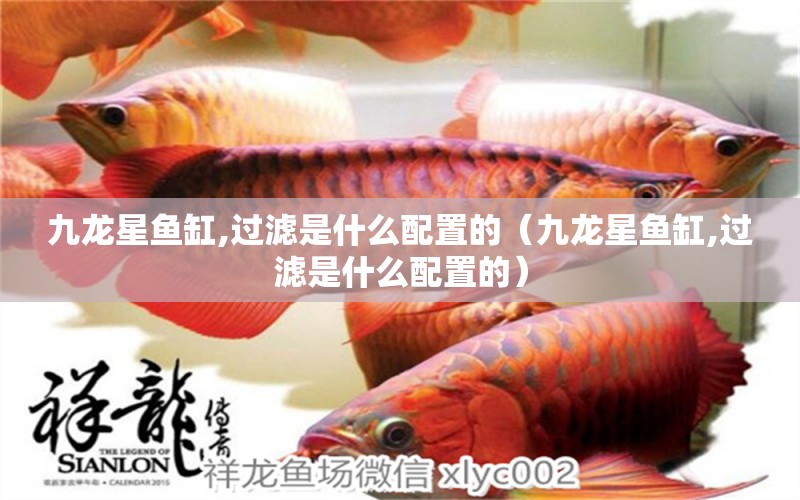 九龍星魚缸,過濾是什么配置的（九龍星魚缸,過濾是什么配置的）