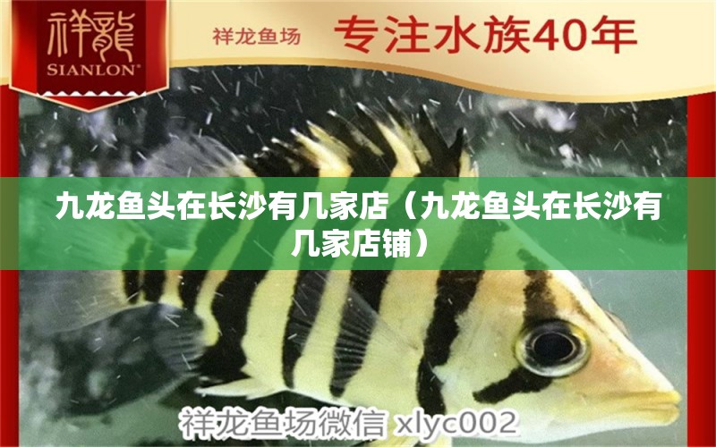 九龍魚頭在長沙有幾家店（九龍魚頭在長沙有幾家店鋪）