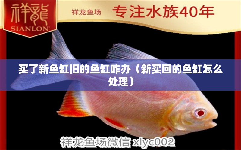 買了新魚缸舊的魚缸咋辦（新買回的魚缸怎么處理）