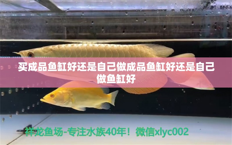 買成品魚缸好還是自己做成品魚缸好還是自己做魚缸好