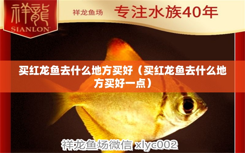 買紅龍魚去什么地方買好（買紅龍魚去什么地方買好一點）