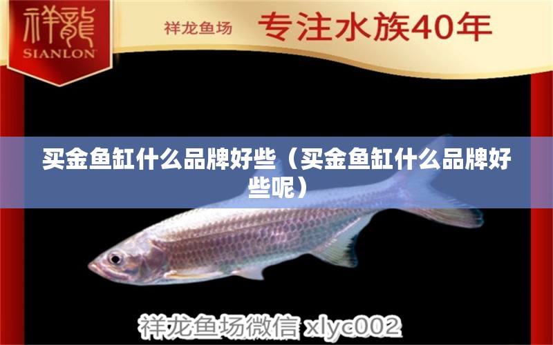 買金魚缸什么品牌好些（買金魚缸什么品牌好些呢）