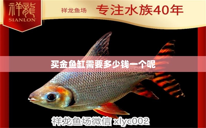 買金魚缸需要多少錢一個呢 水族問答 第2張