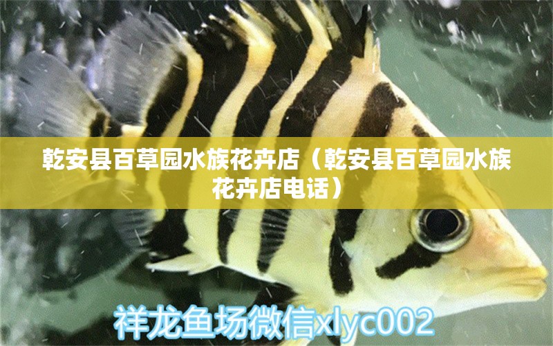 乾安縣百草園水族花卉店（乾安縣百草園水族花卉店電話）