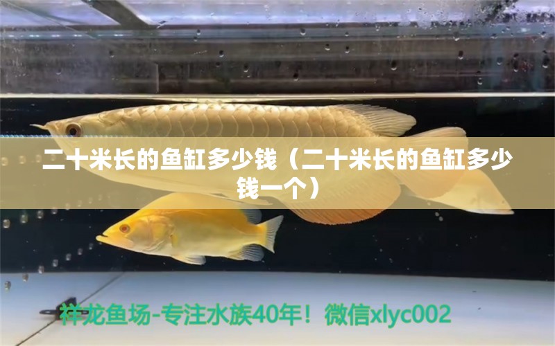 二十米長(zhǎng)的魚(yú)缸多少錢(qián)（二十米長(zhǎng)的魚(yú)缸多少錢(qián)一個(gè)） 其他品牌魚(yú)缸