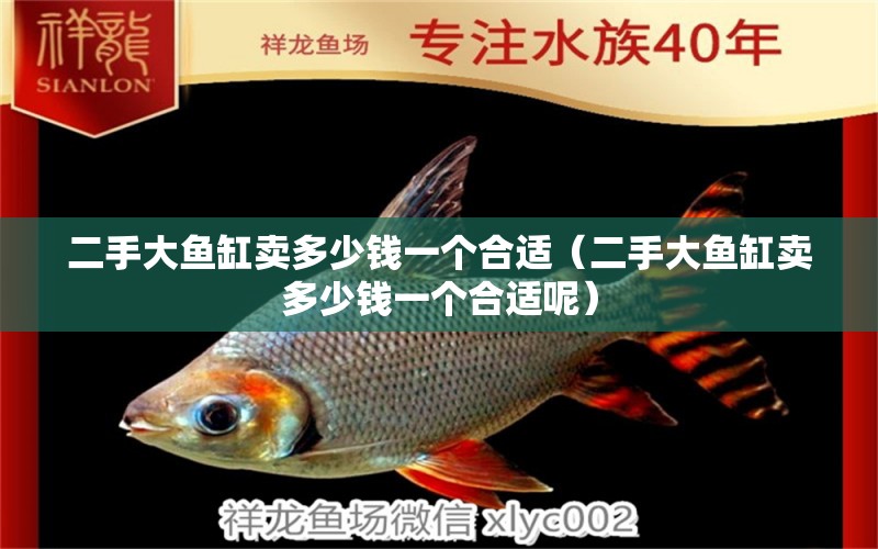 二手大魚缸賣多少錢一個合適（二手大魚缸賣多少錢一個合適呢）