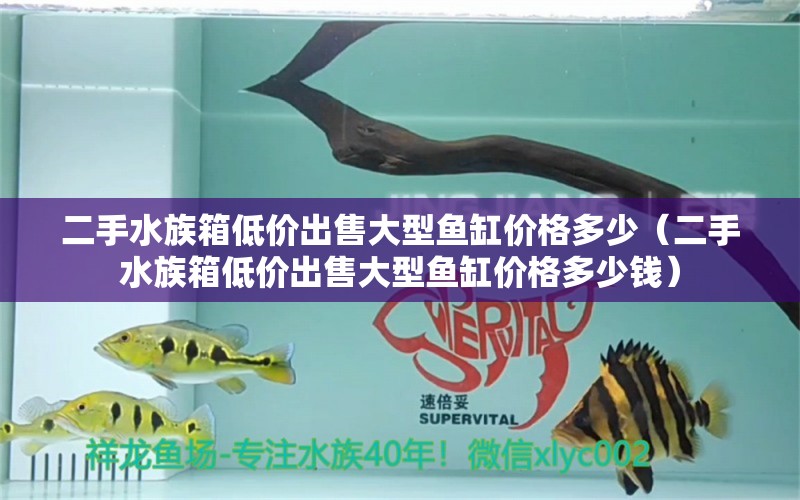 二手水族箱低價(jià)出售大型魚(yú)缸價(jià)格多少（二手水族箱低價(jià)出售大型魚(yú)缸價(jià)格多少錢(qián)）