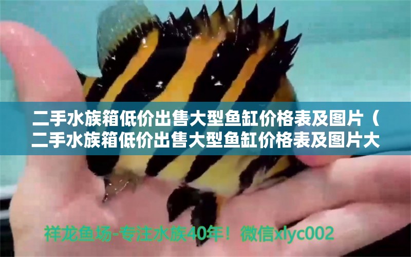 二手水族箱低價(jià)出售大型魚缸價(jià)格表及圖片（二手水族箱低價(jià)出售大型魚缸價(jià)格表及圖片大全） 魚缸/水族箱