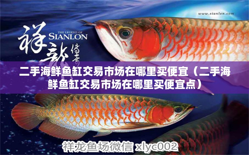 二手海鮮魚缸交易市場在哪里買便宜（二手海鮮魚缸交易市場在哪里買便宜點）