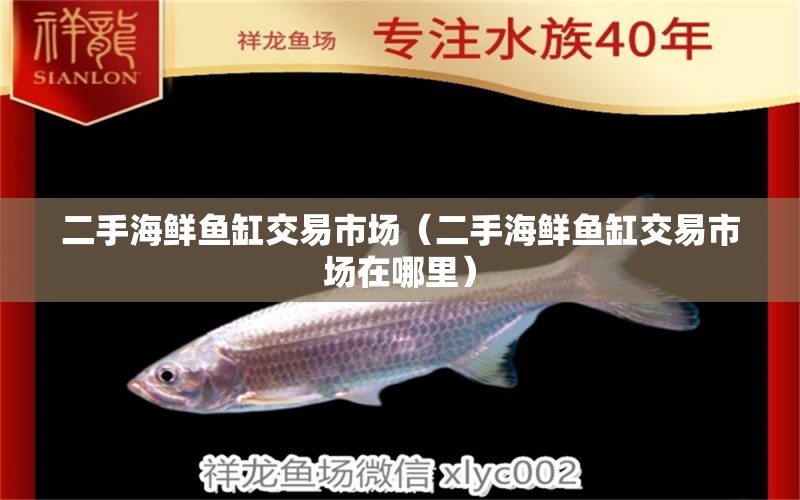 二手海鮮魚(yú)缸交易市場(chǎng)（二手海鮮魚(yú)缸交易市場(chǎng)在哪里） 其他品牌魚(yú)缸