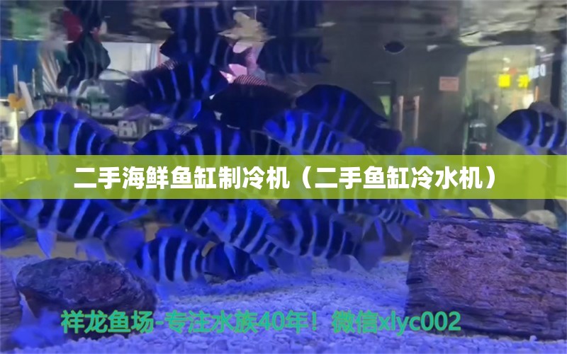 二手海鮮魚缸制冷機（二手魚缸冷水機） 祥龍水族醫(yī)院