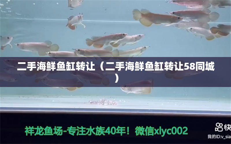 二手海鮮魚缸轉(zhuǎn)讓（二手海鮮魚缸轉(zhuǎn)讓58同城）