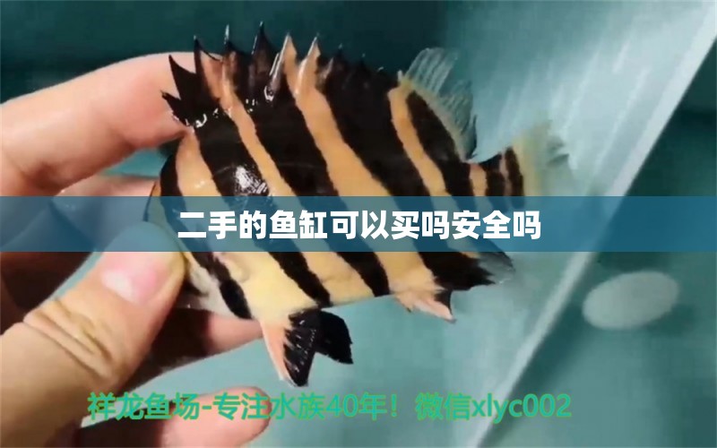 二手的魚缸可以買嗎安全嗎