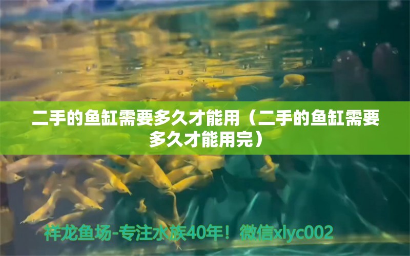 二手的魚缸需要多久才能用（二手的魚缸需要多久才能用完） 祥龍水族醫(yī)院