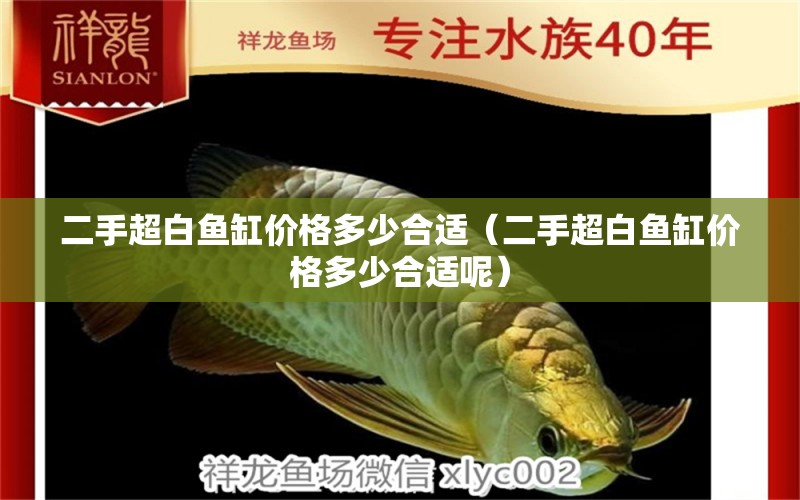 二手超白魚缸價格多少合適（二手超白魚缸價格多少合適呢）