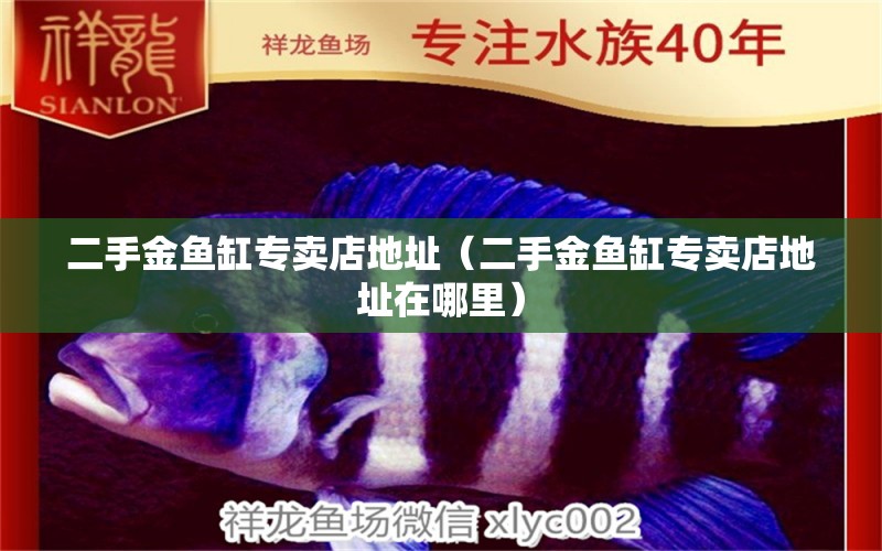 二手金魚缸專賣店地址（二手金魚缸專賣店地址在哪里） 赤荔鳳冠魚