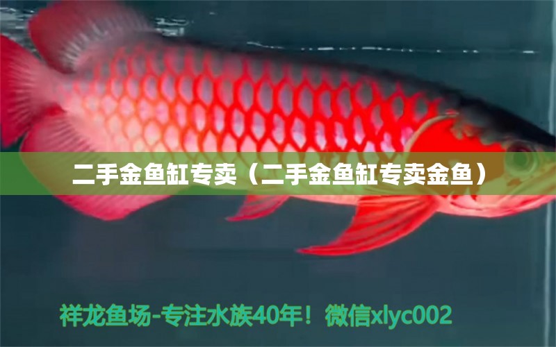 二手金魚缸專賣（二手金魚缸專賣金魚）