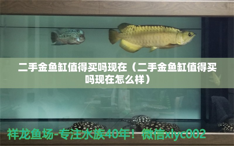 二手金魚缸值得買嗎現(xiàn)在（二手金魚缸值得買嗎現(xiàn)在怎么樣）