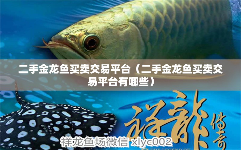 二手金龍魚買賣交易平臺（二手金龍魚買賣交易平臺有哪些）