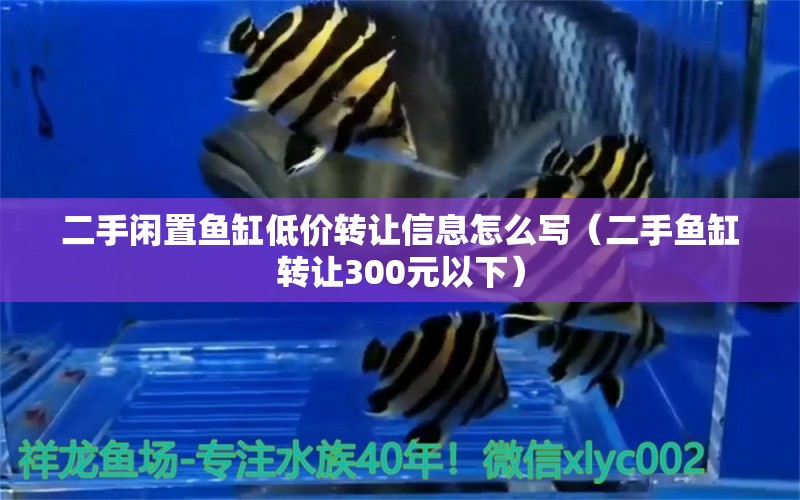 二手閑置魚(yú)缸低價(jià)轉(zhuǎn)讓信息怎么寫(xiě)（二手魚(yú)缸轉(zhuǎn)讓300元以下） 廣州觀賞魚(yú)批發(fā)市場(chǎng)