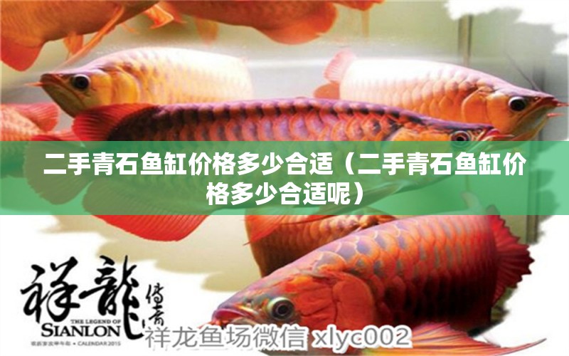 二手青石魚缸價(jià)格多少合適（二手青石魚缸價(jià)格多少合適呢） 祥龍水族醫(yī)院