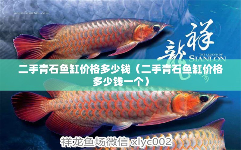 二手青石魚(yú)缸價(jià)格多少錢（二手青石魚(yú)缸價(jià)格多少錢一個(gè)） BD魟魚(yú)