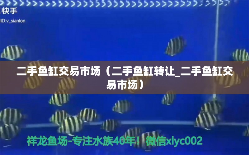 二手魚缸交易市場（二手魚缸轉(zhuǎn)讓_二手魚缸交易市場） 黃金鴨嘴魚