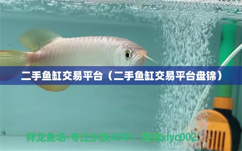 二手魚缸交易平臺（二手魚缸交易平臺盤錦）