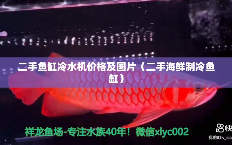 二手魚缸冷水機價格及圖片（二手海鮮制冷魚缸）