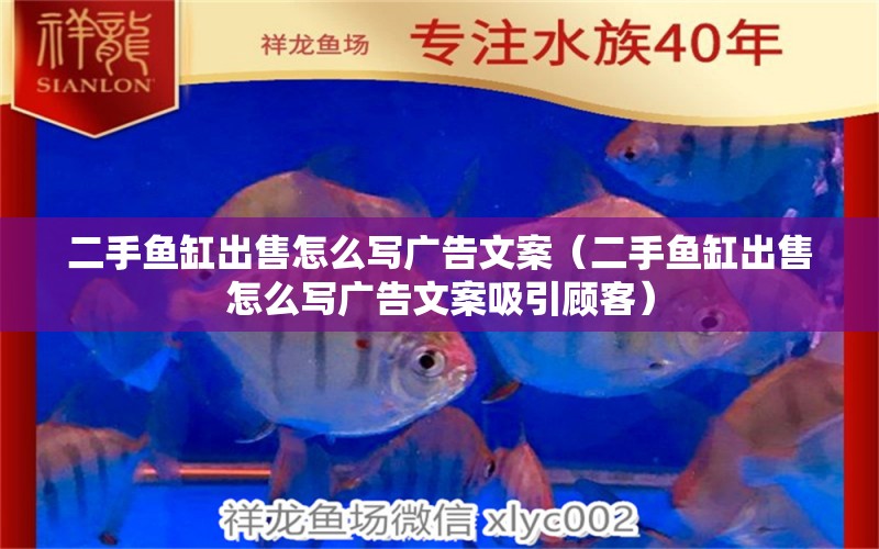 二手魚(yú)缸出售怎么寫(xiě)廣告文案（二手魚(yú)缸出售怎么寫(xiě)廣告文案吸引顧客） 海象魚(yú)