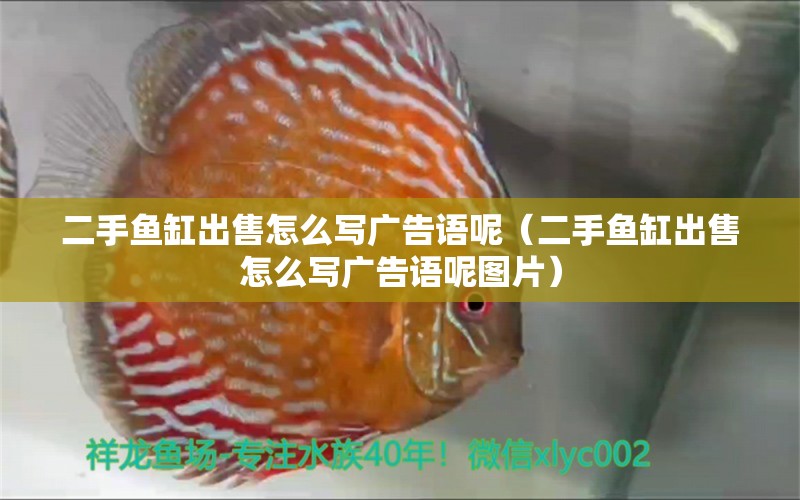 二手魚(yú)缸出售怎么寫(xiě)廣告語(yǔ)呢（二手魚(yú)缸出售怎么寫(xiě)廣告語(yǔ)呢圖片） 祥龍水族醫(yī)院